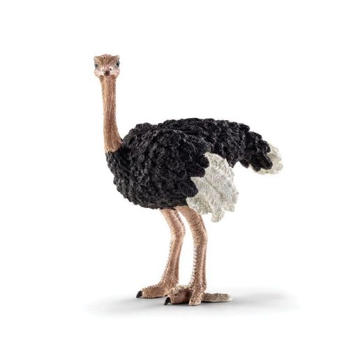Schleich - Фигурка *Щраус* - 14744