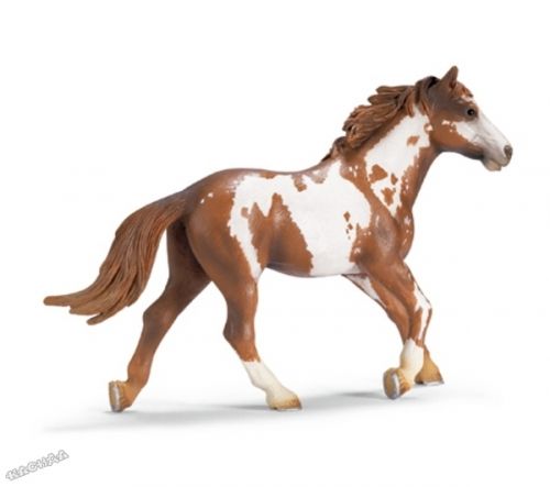Schleich - Фигурка *Жребец Пинто* - 13616
