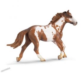 Schleich - Фигурка *Жребец Пинто* - 13616