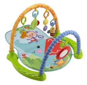 Fisher Price - Бебешка активна гимнастика Link`N Play Musical Gym